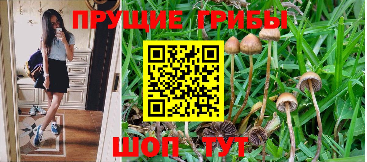 Комсомольск-на-Амуре  Галлюциногенные грибы Psilocybe  Вход с VPN 
